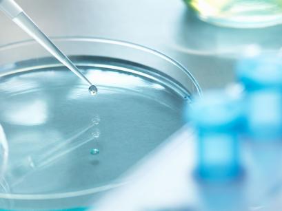 petri dish with pipette