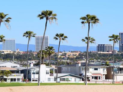 Streetscape with palm trees and buildings