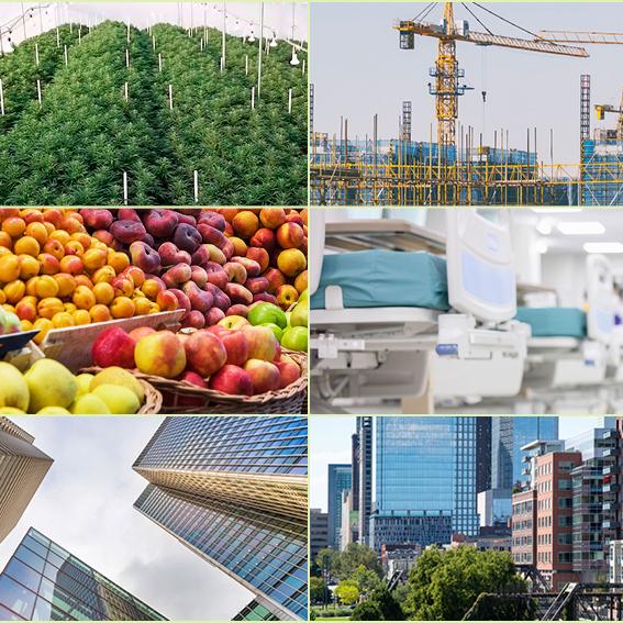 Collage containing cannabis plants, construction crane, books, fruit, and other images
