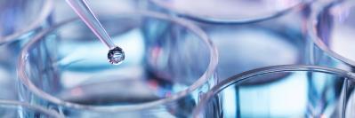 Lab work