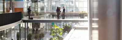 Building with internal bridge