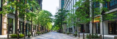 Road with buildings and tress on both sides