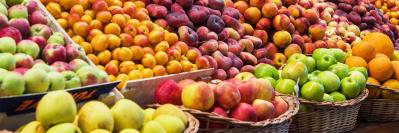 Food, Beverage and Agribusiness